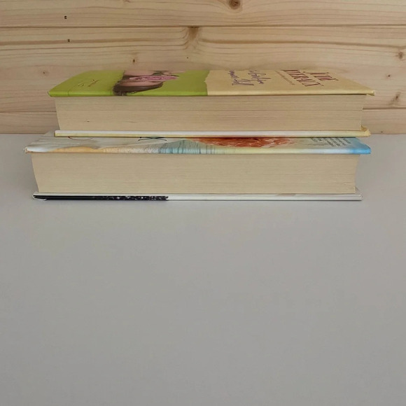 HARDCOVER NOVELS 2 Book Bundle Author: Jude Deveraux - Picture 8 of 8